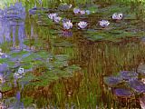 Water-Lilies 44